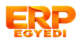Egyedi ERP